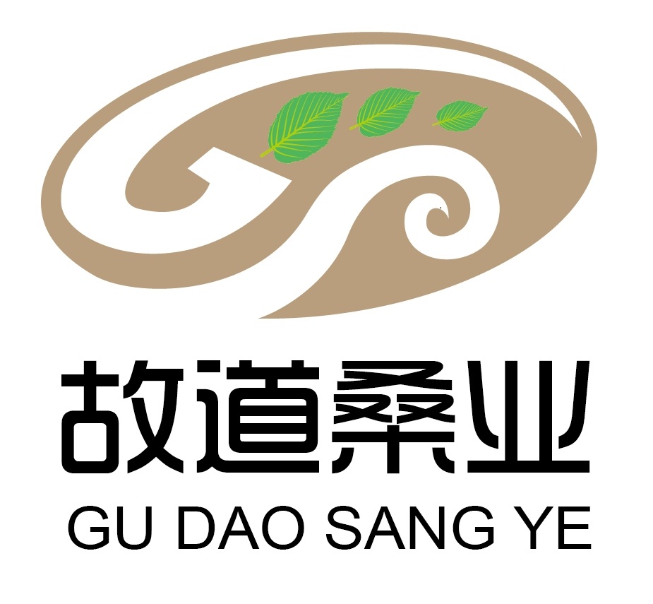 喝茶就可以防脫生發(fā)，太神奇了！桑葉養(yǎng)生茶